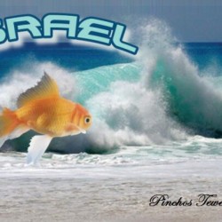 art israel ocean  2